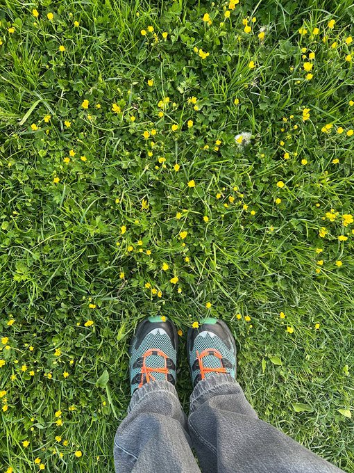 A first-person view looking down at a person's feet wearing gray sneakers with orange laces and gray pants, standing in a field of green grass dotted with small yellow flowers.