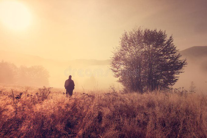 A atmospheric landscape photograph showing a silhouette of a person walking through a misty golden field toward a large tree, with the sun glowing in the upper left corner.