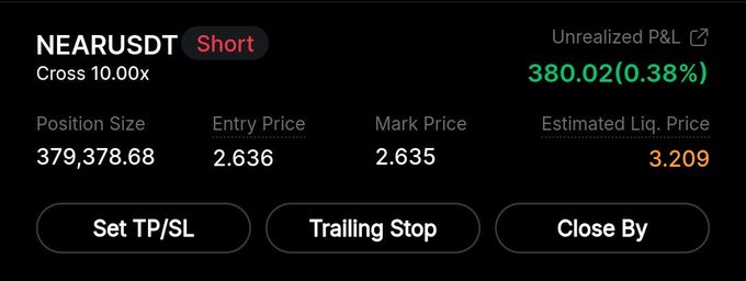 A trading interface screenshot showing a short position on NEARUSDT with Cross 10.00x leverage, Position Size 379,378.68, Entry Price 2.636, Mark Price 2.635, Estimated Liq. Price 3.209, and Unrealized P&L of 380.02 (0.38%).