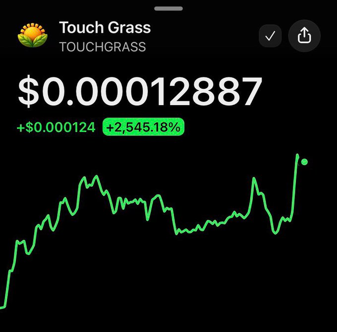 A Robinhood app screenshot showing a cryptocurrency or token called 'Touch Grass' (TOUCHGRASS) priced at $0.00012887, up +2,545.18% with a green price chart.