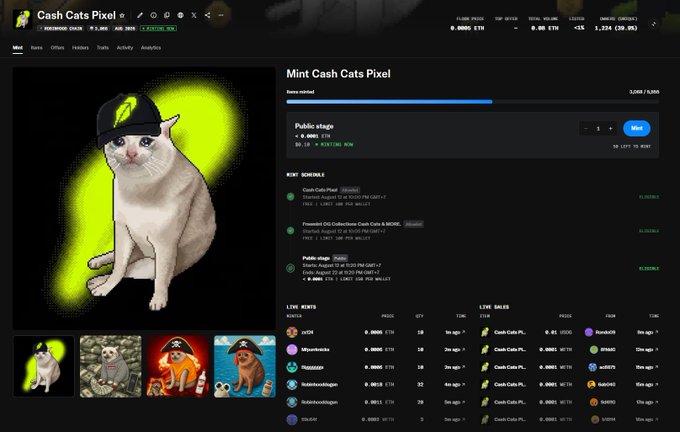 A screenshot of a digital marketplace page for 'Mint Cash Cats Pixel' showing a cat in a cap NFT with mint schedule and live mint stats.