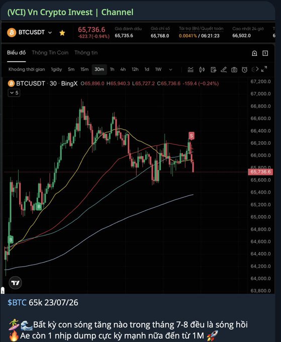 A TradingView BTCUSDT 30-minute chart from the Vietnamese 'Vn Crypto Invest' channel showing a BTC price drop to 65,736.6, with commentary suggesting a July-August downtrend and an anticipated strong dump from 1M support.