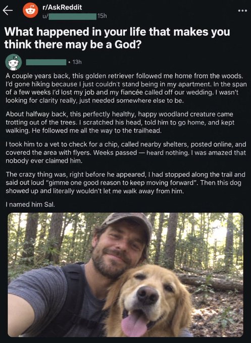 A Reddit post from r/AskReddit titled 'What happened in your life that makes you think there may be a God?' featuring a story about adopting a golden retriever named Sal. The post includes a selfie of a smiling bearded man in a wooded area with a golden retriever beside him.