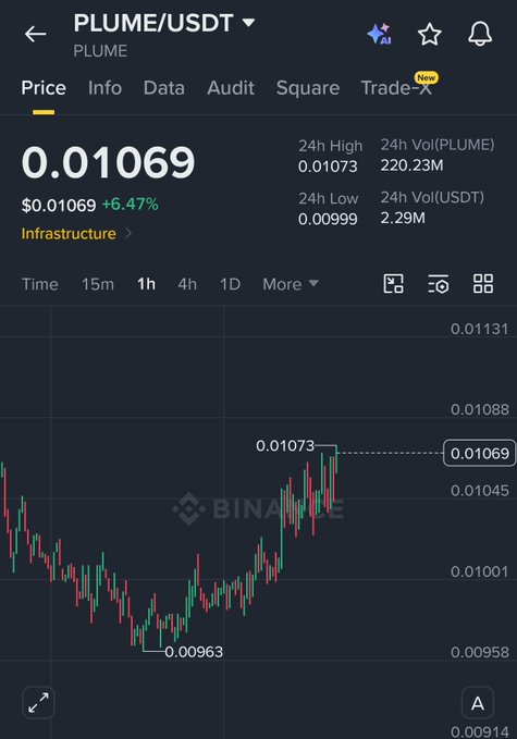 A Binance mobile app screenshot displaying the PLUME/USDT trading pair at a price of 0.01069 (+6.47%), with a 24-hour high of 0.01073 and a 4-hour candlestick chart visible below.