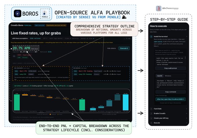 An infographic titled 'BOROS OPEN-SOURCE ALFA PLAYBOOK' details a strategy for live fixed rates up for grabs, with breakdowns and a step-by-step guide by @xCheeezzyyy.