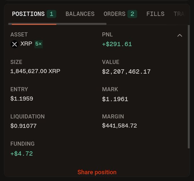 The screen displays a screenshot of a trading dashboard for Bitcoin in an Excel Spreadsheet format called Microsoft Excel, with a data table titled "positions" that provides information about various positions related to Bitcoin trading activities such as asset allocation, orders placement, liquidation position, and leverage size. The image also contains a small description on the left side pointing at specific points on the screen.