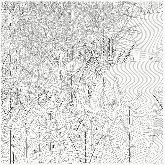 A detailed black and white line drawing of a dense forest scene, featuring overlapping foliage and topographic-style contour lines on the right side.