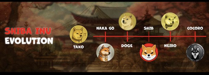 A 'Shiba Inu Evolution' timeline graphic showing the progression of doge-related tokens including Tako, Naka Go, Doge, Shib, Neiro, and Cocoro with their respective dog icons.