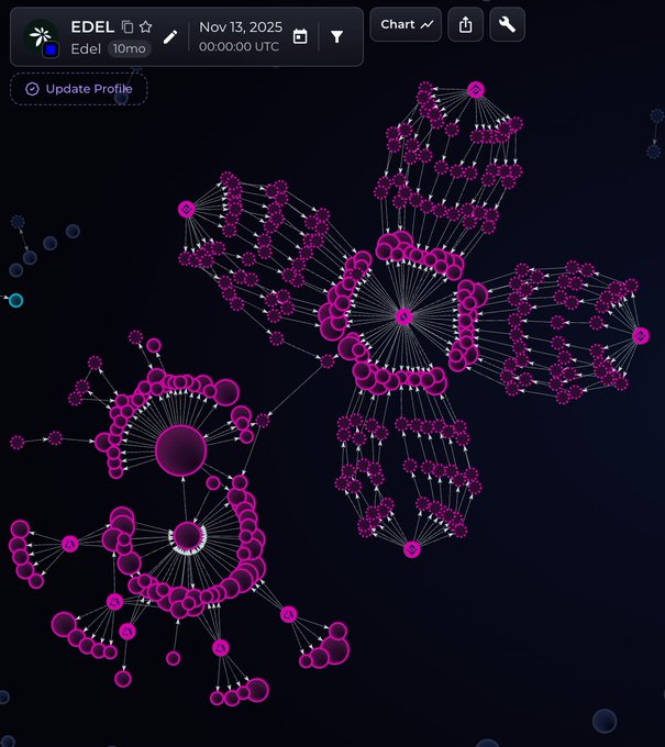 A screenshot from a network visualization tool labeled "EDEL" dated Nov 13, 2025, showing an intricate purple and pink node-based graph structure on a dark background.