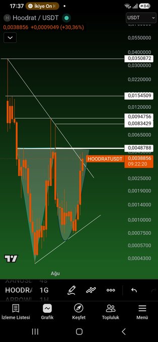 A candlestick chart on TradingView shows $HOODRAT/USDT at 0.0038856 (+30.36%), with the 1G (1-minute) timeframe displaying a steep decline forming a triangular pattern near recent lows. The image visually supports the post's characterization of $Hoodrat as a wild and unpredictable asset, depicting its dramatic price drop and high volatility.
