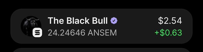 A dark-themed crypto token display shows 'The Black Bull' with a verified checkmark, priced at $2.54, up $0.63, with 24.24646 ANSEM.