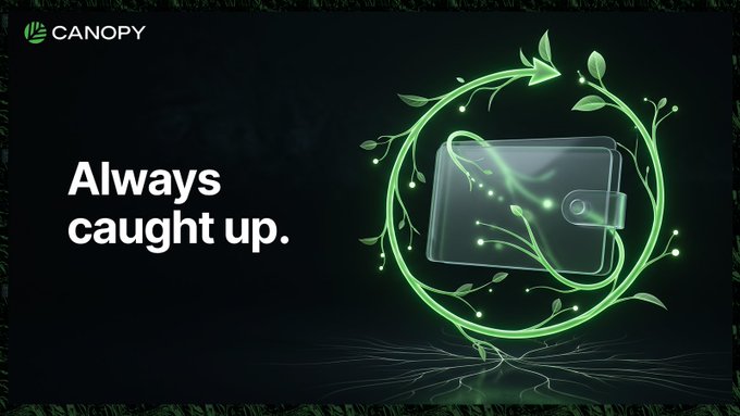 A promotional graphic for 'CANOPY' with the tagline 'Always caught up.' featuring an illustration of a wallet encircled by glowing green vines against a dark background.