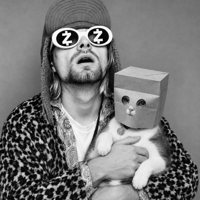 A black-and-white photo shows Kurt Cobain wearing sleep-themed sunglasses (with "Z" symbols) while holding a cat wearing a paper bag over its head.