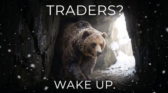 A meme showing a bear emerging from a snowy cave with text 'TRADERS?' at the top and 'WAKE UP.' at the bottom.