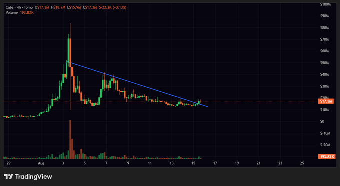 A TradingView 4-hour candlestick chart for ticker $CATE shows a descending trendline being tested at the $17.3M level, with current price down 0.13% to $22.2K on volume of 193.83K. The price action near the trendline support visually supports the post's suggestion that the asset could see buying interest ("could be a bid here").