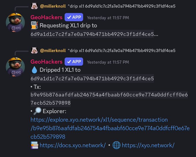 The image shows a screenshot of a conversation between two people through a messaging app that has been labeled as 'geo hackers'. The main person, identified by their name tag, appears to be sharing information about an application called 'dropped 1XL' with another individual. This message is likely discussing the app or a recent update. The other person in the conversation seems interested and curious about this topic.