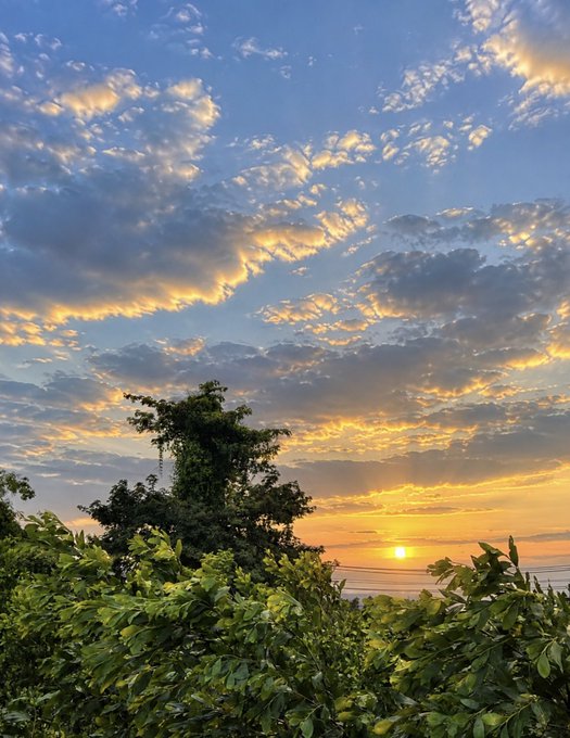 A scenic sunset photograph featuring golden sun rays filtering through scattered clouds over a tree and lush green vegetation in the foreground.