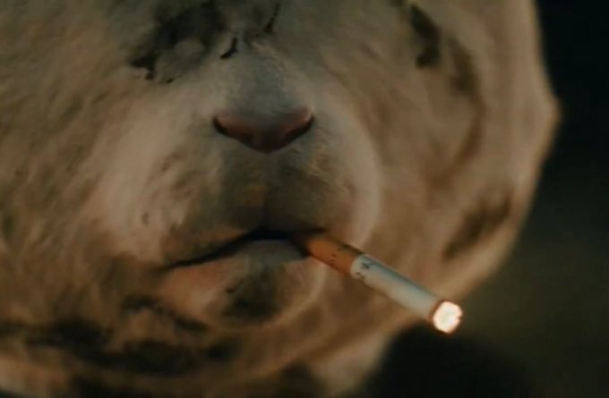 A cinematic close-up of a cheetah's face with a lit cigarette dangling from its mouth.