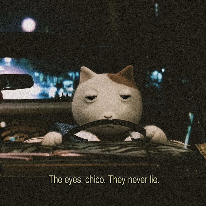 A plush cat toy is shown driving a car at night with the caption 'The eyes, chico. They never lie.'