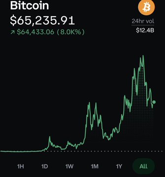 The image displays a Bitcoin price chart showing a current price of $65,235.91, up 8.00% ($64,433.06) over 24 hours with $12.4B in trading volume, viewed on the "ALL" timeframe which reveals long-term upward growth.

The chart reinforces the post's message of long-term conviction in Bitcoin, visually illustrating the substantial gains that reward patient "stacking" despite past skepticism and criticism.
