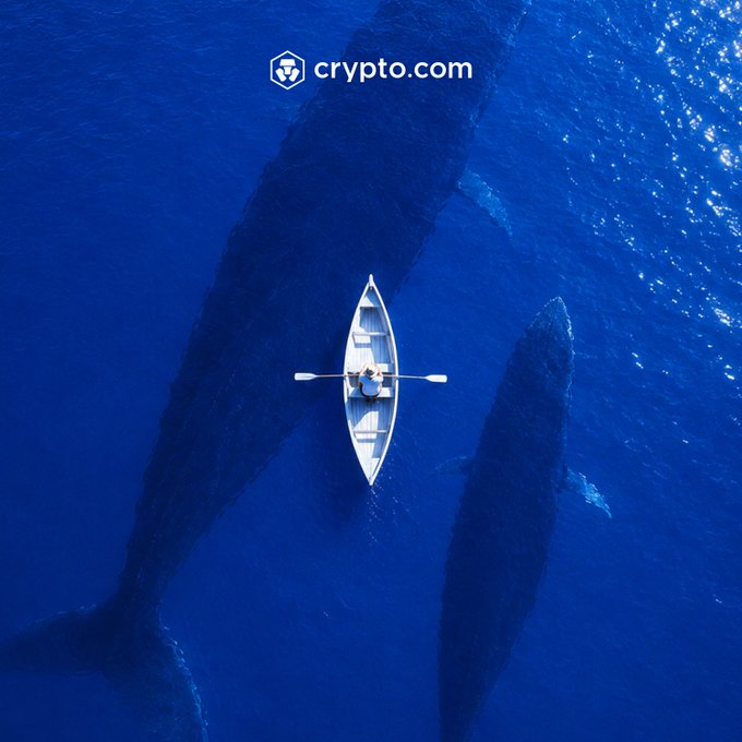 The Crypto.com app — trade like the whales.