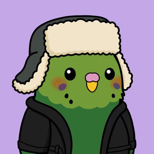 A cute cartoon illustration of a green bird character wearing a furry trapper hat with ear flaps and a black jacket, set against a light purple background. The image serves as one of the 1111 Birb NFT characters from the collection linked in the post.