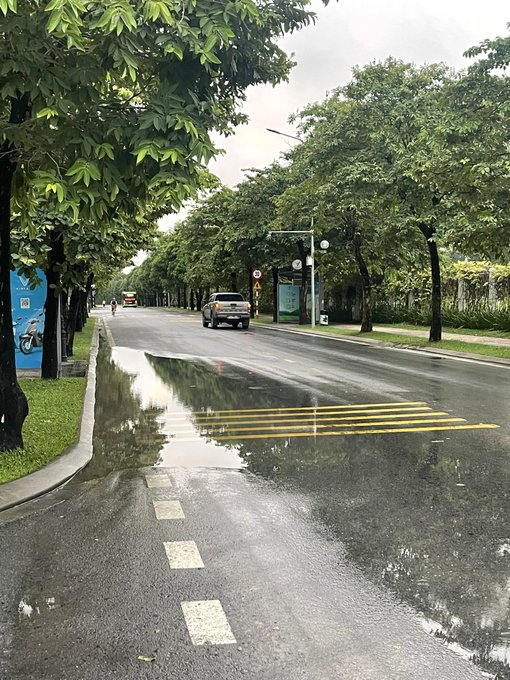 A wet, tree-lined street with puddles reflecting the overcast sky, showing a yellow-striped pedestrian crossing, a parked SUV, and a motorcycle near a blue banner on the left.