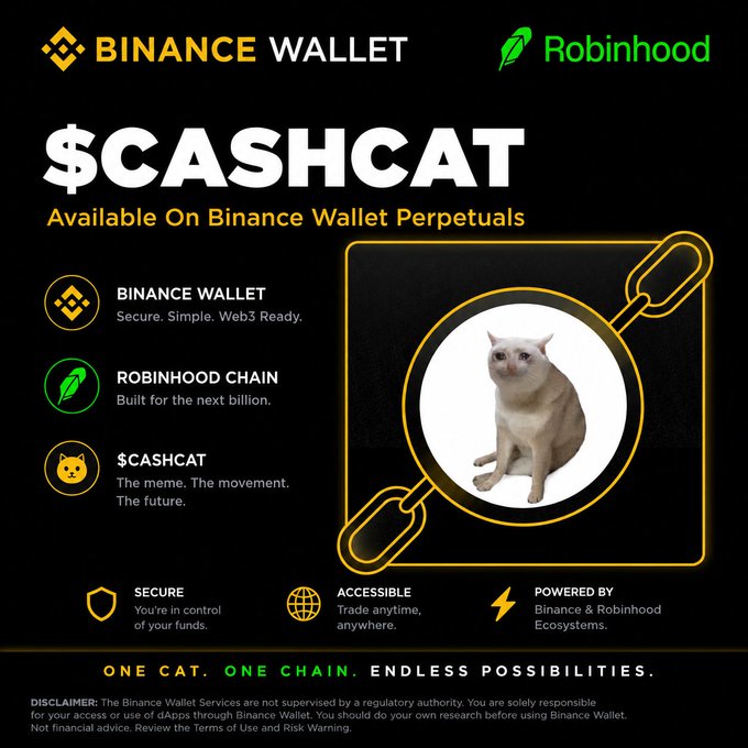 A digital advertisement for '$CASHCAT' token, available on Binance Wallet Perpetuals and Robinhood Chain, featuring a picture of a white and orange cat in a stylized chain link, with the tagline 'ONE CAT. ONE CHAIN. ENDLESS POSSIBILITIES.'