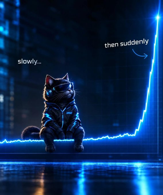 A stylized digital artwork of a black cat wearing sunglasses and a futuristic jacket, sitting on a glowing blue neon line graph that rises steeply, accompanied by the text 'slowly...' and 'then suddenly'.