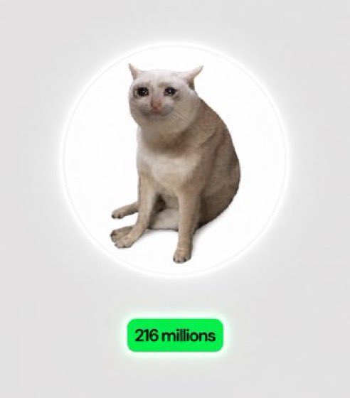 A cream-colored cat sits within a circular frame above a green label reading '216 millions'.