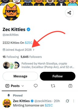 A Twitter/X profile screenshot for the verified account 'Zec Kitties' (@zeckitties) shows 2,222 Kitties on $ZEC, joined August 2026, with a pinned tweet reading 'Minting tomorrow on $ZEC'.