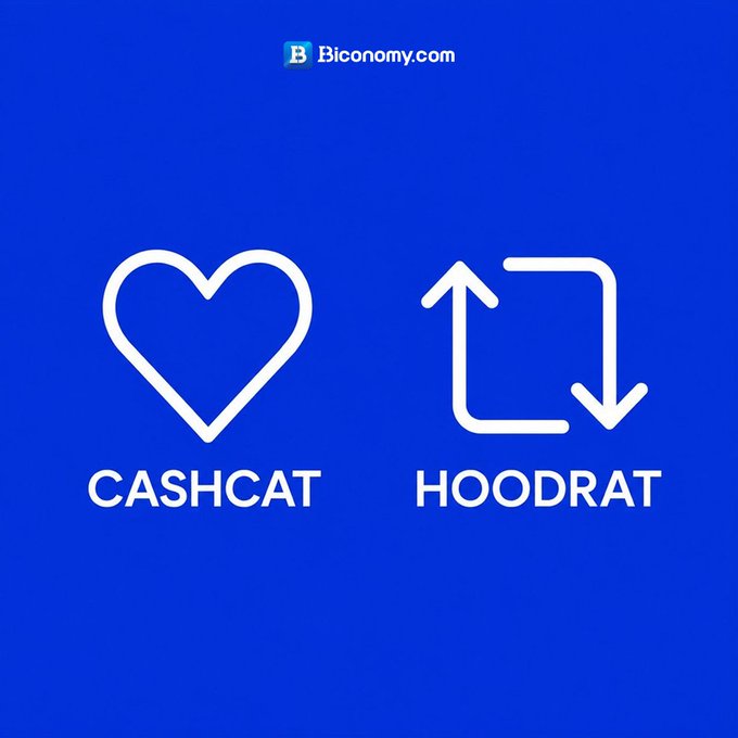 A blue graphic from Biconomy.com displaying two white icons: a heart labeled 'CASHCAT' and a repost/refresh symbol labeled 'HOODRAT'.