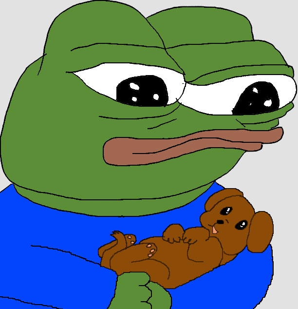 The image features a cartoon frog with green skin, holding a brown dog in its arms. The frog appears to be in a state of shock or surprise as it holds the dog. The caption below the image reads "are you still bullish on hyperliquid". This phrase is likely a reference to the popular meme about the frog being overly aggressive towards dogs and the internet's reaction to it, which has been widely shared and retold over time.