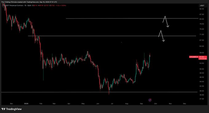 A TradingView chart of $LTC/USDT Perpetual Contract on Bybit displays the daily price action ranging between approximately $37 and $93, with horizontal resistance levels marked near $71.50 and $83, and white hand-drawn arrows suggesting potential downside moves—aligning with the post's message to remain patient with the cryptocurrency.