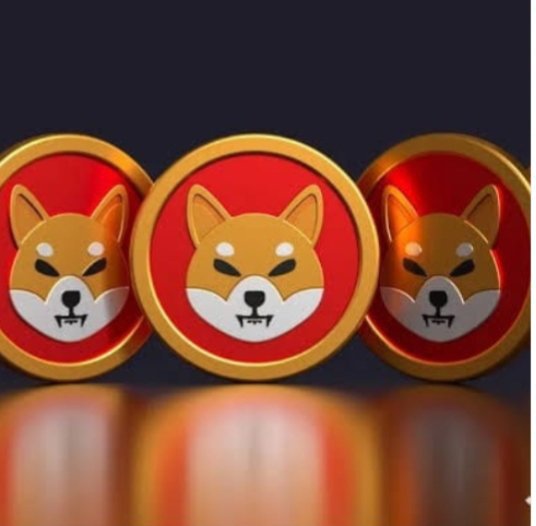 Three gold and red coins displaying a Shiba Inu dog face design, representing the SHIB cryptocurrency.