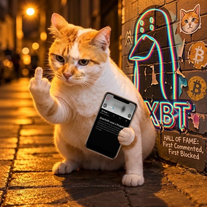 An orange and white cat sits on a cobblestone street at night, holding a smartphone and giving the middle finger, with a graffiti wall reading "HALL OF FAME: First Commented, First Blocked" and neon Bitcoin/XBT symbols in the background.