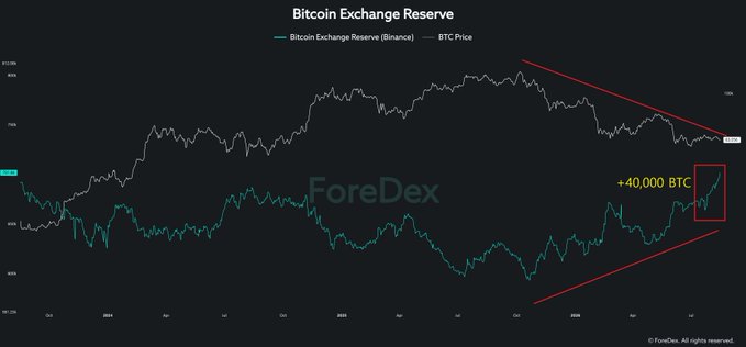 The image is a ForexDex chart titled "Bitcoin Exchange Reserve" tracking the correlation between Bitcoin Exchange Reserves on Binance (cyan line) and BTC Price (white line) from late 2023 through July 2024, showing an inverse relationship where Binance reserves are rising sharply (+40,000 BTC, highlighted in a red box) as BTC price trends downward along descending red trendlines.
