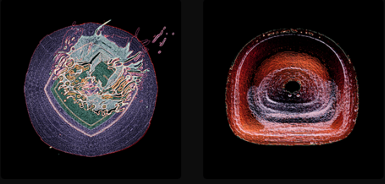 Two abstract cross-sectional illustrations side by side on black backgrounds, showing colorful layered structures in blue/green/red on the left and concentric red/orange/purple rings on the right.