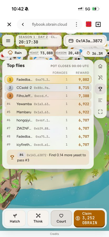 A mobile screenshot of flybook.obrain.cloud shows a fly-themed blockchain application with a 'Top flies' leaderboard ranking wallets by forages and rewards, displaying the user's wallet (0x1A3a...3872) in 4th place with 6,922 rewards, and a 'Claim 3,252 OBRAIN' button at the bottom.