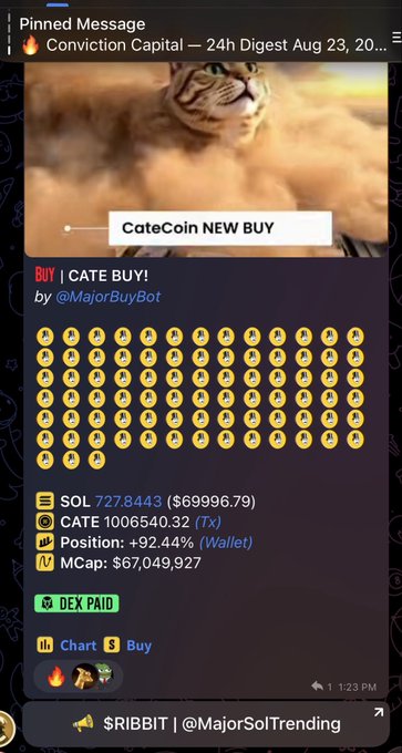 A pinned Discord message from 'Conviction Capital' shows a 'CateCoin NEW BUY' notification with a tiger image, detailing a purchase of 1,006,540.32 CATE for $69,996.79 in SOL at $67,049,927 market cap.