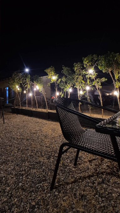 A nighttime outdoor scene showing a black wicker chair in the foreground with illuminated trees and string lights lining a gravel pathway, creating an atmospheric ambiance.