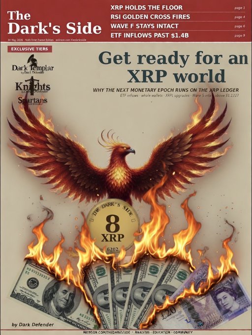 The image features a poster with an illustration of a phoenix, which is a mythical bird often associated with fire and destruction. The phoenix is depicted surrounded by burning money, symbolizing the destruction or loss of value due to the XRP currency. The poster also includes text that reads "Get ready for an XRP world" and "The Dark Side". This suggests that there might be some sort of conflict or disagreement related to the XRP currency in question.