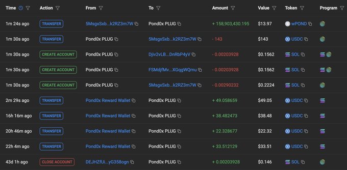 A blockchain transaction ledger displays recent activity involving Pond0x PLUG, including a large transfer of +158,903,430.195 wPOND ($13.97) and -1.43 SOL ($143) to wallet 5MagsSxb..k2R23m7W at 1m 24s ago, alongside smaller CREATE ACCOUNT, TRANSFER, and CLOSE ACCOUNT events, supporting the post's claim of PLUG beginning a new wPOND DCA after 43 days.