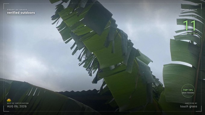 A low-angle shot of green banana leaves against a cloudy sky, overlaid with text reading 'verified outdoors', 'AUG 06, 2026', '11', 'TOP 10% GRASS TOUCHERS', and 'CERTIFIED BY: touch grass'.