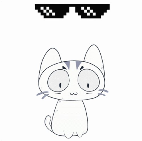 The image features a cartoon cat sitting in front of two pairs of sunglasses with black and white checkered designs. The cat appears to be wearing the sunglasses as if they were its own, giving an amusing and playful vibe to the scene. The text "only 884 mints left, those 1of1s are the real alpha" is written above the image, which could be a reference to the limited number of mints remaining or a humorous statement about the cat's unique fashion sense.