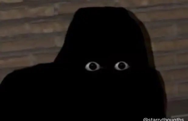 The image features a person wearing a black hoodie with two eyes, which appears to be a fake face or a mask. The caption of the image includes some text that reads "very easy to identify infoFI washed KOLs you be seeing prefixes a and suffixes like - 0x... - Crypto... - Onchain...". This suggests that the person in the hoodie might have been involved in an activity related to cryptocurrency or information technology, as indicated by the use of the terms " crypto" and "Onchain".