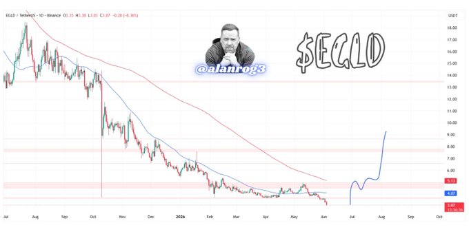 The image features a line graph with a downward sloping line that represents the price of a cryptocurrency over time, starting from $0.01 on January 1, 2001 and ending at around $0.53 as of August 4, 2016. The title "$EGLD" is displayed above this line, indicating the cryptocurrency being referred to in the image. 

In addition to the main graph, there are two other lines visible but their purpose or relation to the main topic remains unclear from the visual information provided.