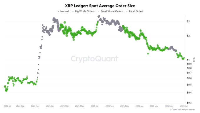 A CryptoQuant scatter plot titled "XRP Ledger: Spot Average Order Size" tracking XRP prices from July 2024 to July 2026, showing that green "Big Whale Orders" have consistently dominated retail, small whale, and normal order activity throughout the period, aligning with the post's claim that XRP spot trading has been led exclusively by big whales.
