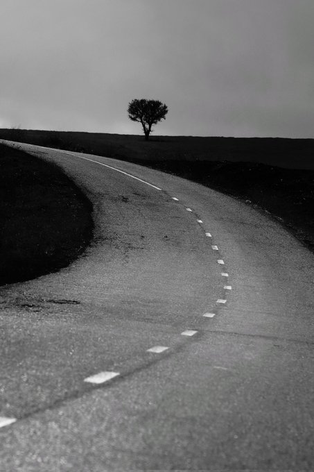 A black and white photograph of a winding road leading up a hill with a single tree silhouetted against an overcast sky.