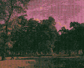 A heavily pixelated, low-resolution image of a landscape featuring trees and a pinkish sky.